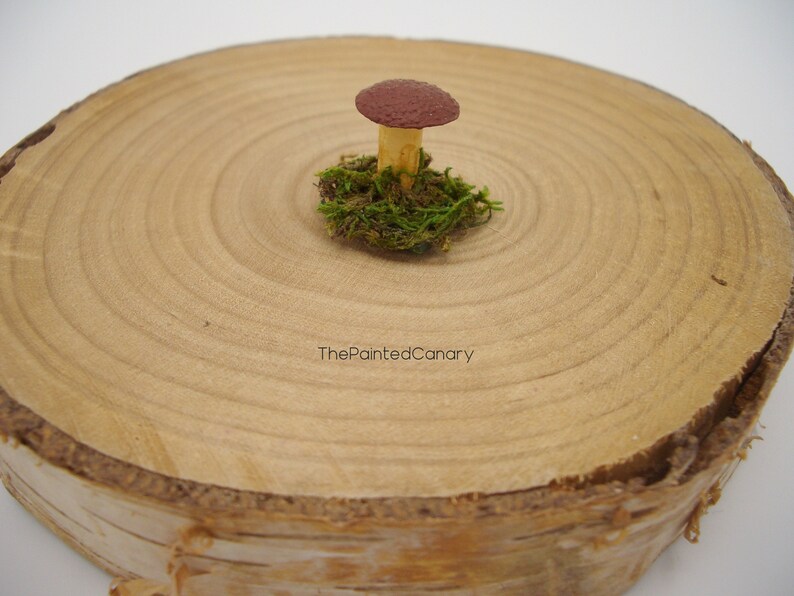 Tiny fairy garden mushroom, brown mini mushroom with moss, handmade dollhouse miniatures image 1