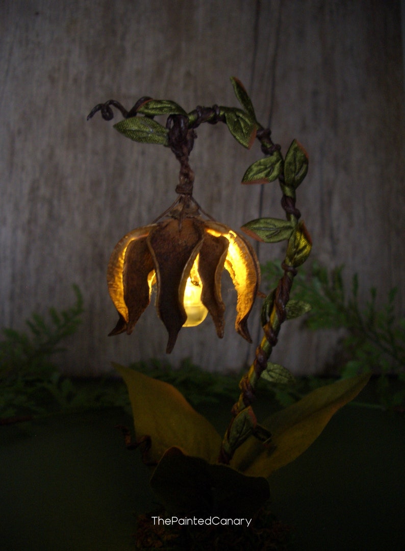 Lanterne de fée éclairée à la main pour exposer un jardin de fées miniature image 6