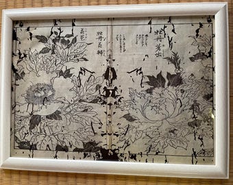 1755 Ukiyo-e Woodblock Printed Botanical Notes- Edo Period