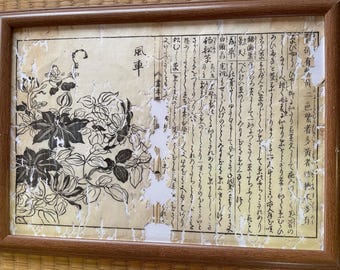 1755 Ukiyo-e Holzschnitt Gedruckt Botanische Notizen- Edo Period