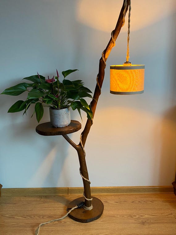 flytrap plant Venus Fly Trap Plant