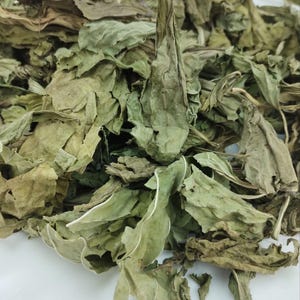 Dried Plantain Leaf, Wildcrafted Leaf Herbal Tea, Plantain Tea, Gift for Vegan, Plantago Major Loose Tea Set