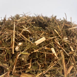 Getrocknetes süßes Wermutkraut, wilde Artemisia Annua, süße Annie, süßer Beifuß, einjähriger Beifuß-Aufguss