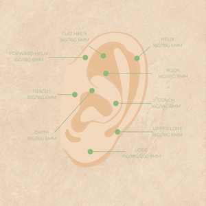 May include: An illustrated diagram of an ear, highlighting various piercing locations such as Flat Helix, Forward Helix, Helix, Rook, Tragus, Conch, Daith, Upper Lobe, and Lobe. Gauge and mm sizes are also indicated.