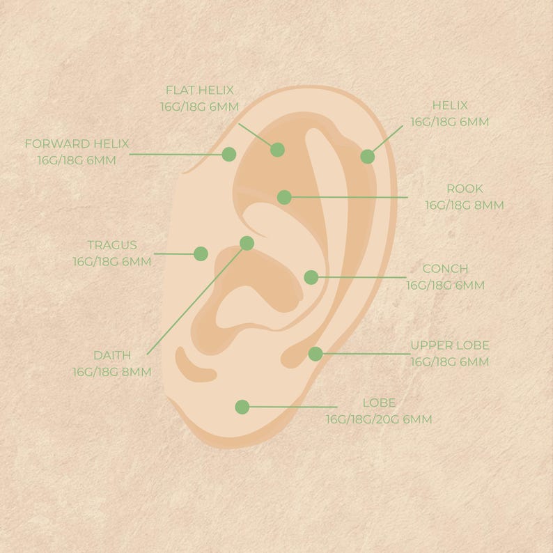 May include: An illustrated diagram of an ear, highlighting various piercing locations such as Flat Helix, Forward Helix, Helix, Rook, Tragus, Conch, Daith, Upper Lobe, and Lobe. Gauge and mm sizes are also indicated.