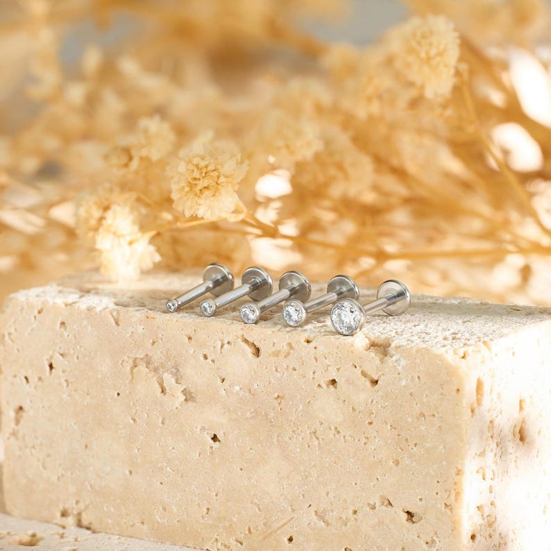 May include: Five silver lip piercing studs with clear, round gemstones of different sizes. The studs are displayed on a light brown, textured surface, with dried flowers in the background.