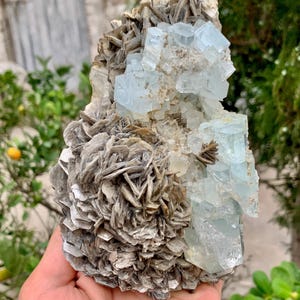 魅力的なブルーアクアマリンクリスタルとムスコバイトの組み合わせ標本 – 鉱物、鉱物標本、宝石、5791カラット