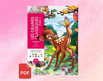 Digital - Disney Mystery Colouring Book - Les Grands Classiques Tome 11 ( colour by number, colouring book, colour for adult )