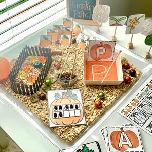 May include: A sensory activity tray with a pumpkin theme. It includes a small wooden fence, printed pumpkin cards, and a sign that reads "Ellie's Pumpkin Patch". The tray is filled with oats and decorative elements.