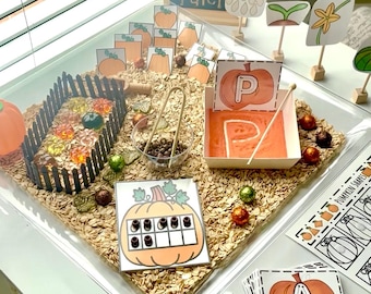 Pumpkin Patch Sensory Learning Kit, Montessori Fall Activity