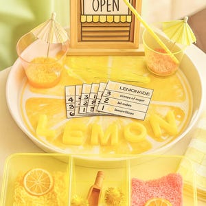Lemonade Stand Sensory Kit: Summer Pretend Play Bin for Kids