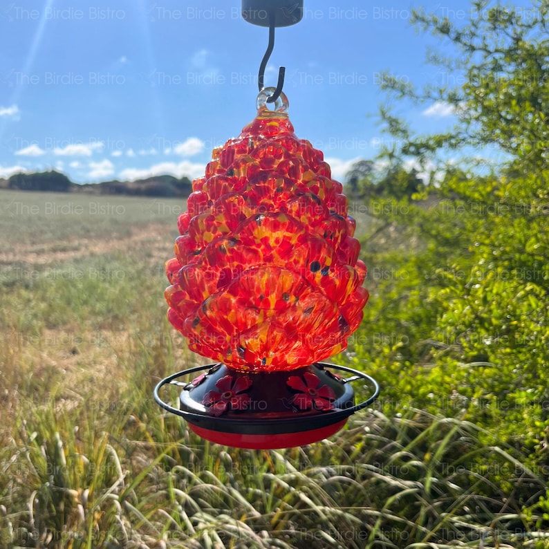 May include: A vibrant red and yellow glass hummingbird feeder with a textured, pinecone-like design. The feeder has a black metal base with red accents and a circular perch. It hangs from a black hook.