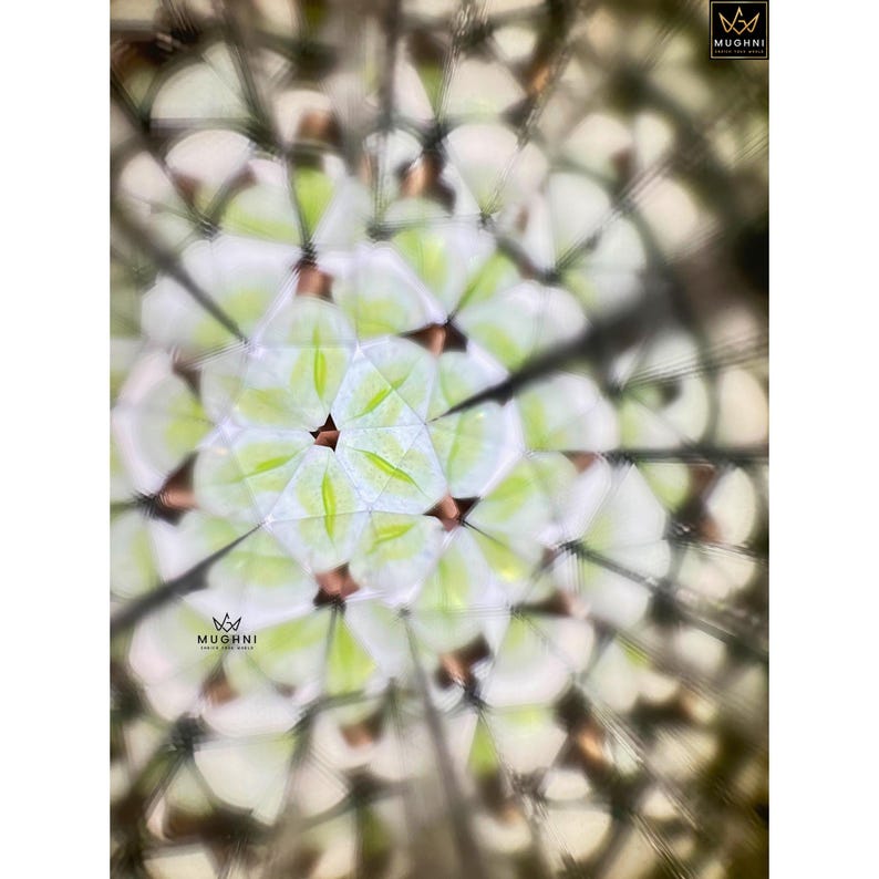 May include: Abstract image of a kaleidoscope pattern. The design features a repeating geometric pattern with white and light green shapes. The image has a symmetrical design with a central focus. The logo "MUGHNI" is visible in the upper right corner.