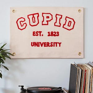 Custom College Flag , personalized College Grad Flag , Custom College Flag Decor , College Banner , Graduation Flag , Graduation Gifts