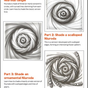 3D Zentangle: Shading Niuroda PDF Ebook image 3