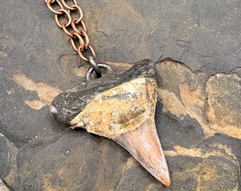 Shark's Tooth Pendant, on copper chain