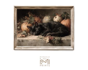 May include: A framed vintage print depicts a black cat sleeping peacefully amidst pumpkins and autumn leaves. The pumpkins vary in color from pale green to orange. The artwork has a warm, rustic aesthetic.