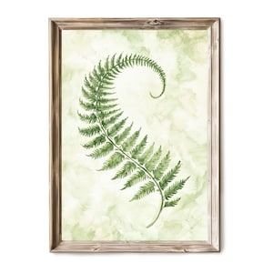 Fern Botanical Wall Art Printable, Vintage Greenery Drawing, Rustic Nature Decor, Cottagecore Plant Illustration Digital Print 17