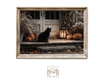 Op de afbeelding: Een ingelijste print toont een zwarte kat op een veranda versierd met pompoenen en een brandende lantaarn. De herfstscène omvat herfstbladeren en een rustieke houten deur. Het kunstwerk heeft een warme, uitnodigende uitstraling.