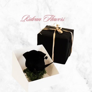 Rosa eterna in carta crespa: arancione, nera o bordeaux. Non appassisce. Regalo speciale. San Valentino. Decorazione sostenibile. Messaggio personalizzabile
