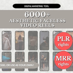 6000+ Aesthetic Faceless Video Reels + Story MRR & PLR resell | Affiliate Marketing, Email, Social Media mrr DFY Instagram Templates Digital