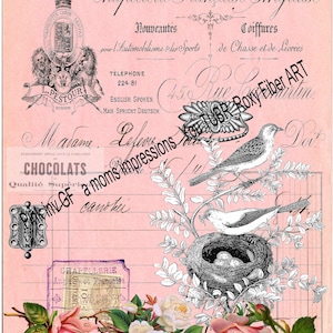 Pink inv GF-collagescheurvel, digitaal, Frans, kortstondig