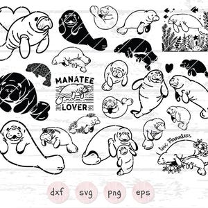 Paquete de manatíes Svg Familia de manatíes Svg Criaturas del océano Svg Archivo de corte de manatí Clipart de manatí Svg de vida marina, Svg náutico, Svg de vaca marina, Png