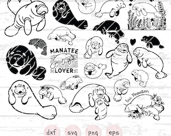 Manatee Svg Bundle Family manatee Svg Ocean Creatures Svg Manatee Cut File Manatee Clipart Sea Life Svg, Nautical Svg, Sea Cow Svg, Png