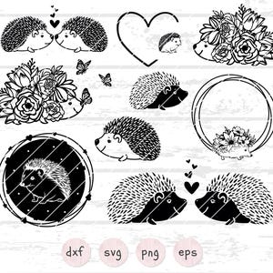 Pacote SVG de Ouriço | Clipart Fofo de Ouriço | Design Floral de Ouriço