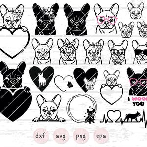 21 Franse Bulldog SVG-bundel, Frenchie Svg, gluren Franse Bulldog gesneden bestand voor cricut