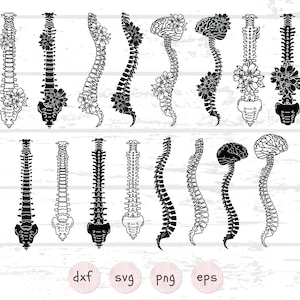 Blumen Rücken SVG Bundle | 16 Anatomisch Clipart PNG, EPS | Skelett, Wirbelsäule, medizinisch, Tattoo-Design, Cricut & Silhouette Schnitt Dateien