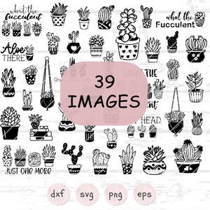 Paquete SVG de suculentas / Clipart de cactus divertido / Maceta kawaii PNG para proyectos de Cricut, sublimación y láser