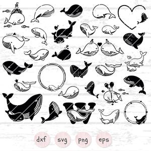 29 SVG de ballenas lindas, archivo de trazado de orcas, SVG de mundo marino, silueta de ballena bebé Cricut, clipart de peces oceánicos, archivo de corte de peces, SVG de animales marinos