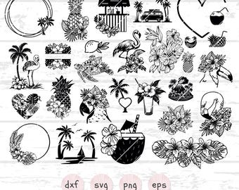 Fleurs tropicales SVG, dessin au trait floral, SVG tropical, plantes tropicales clipart pour cricut