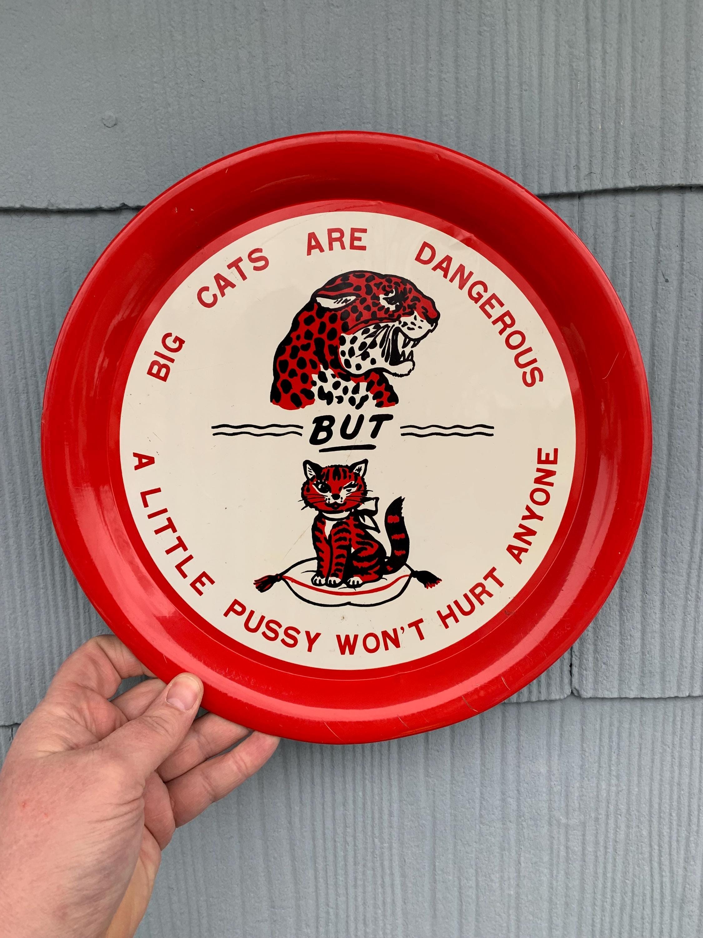 Adult Humour Vintage Souvenir Tin Tray “big Cats Are Dangerous