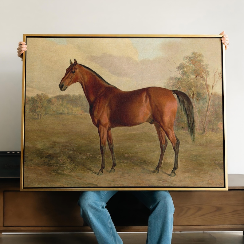 Vintage Horse Portrait Canvas | Antique Equestrian Wall Art | Framed ...