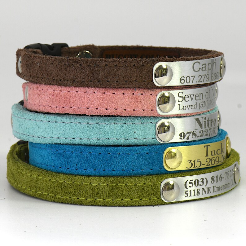 Personalized Buffed Soft Suede Cat Collar With Breakaway Etsy