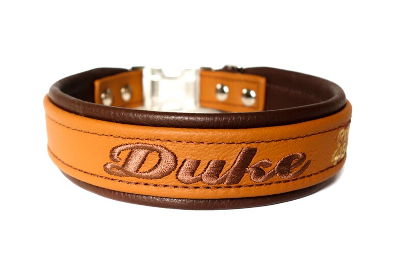 Personalized Leather Dog Collar Padded Lining One And Half Image 0