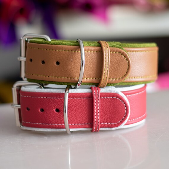thick embroidered dog collars