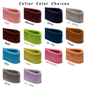 All suede leather cat collar with charm holder in center3/8 widthbreakaway safety buckle-pick color of your cat collarsRuggit Collars image 3
