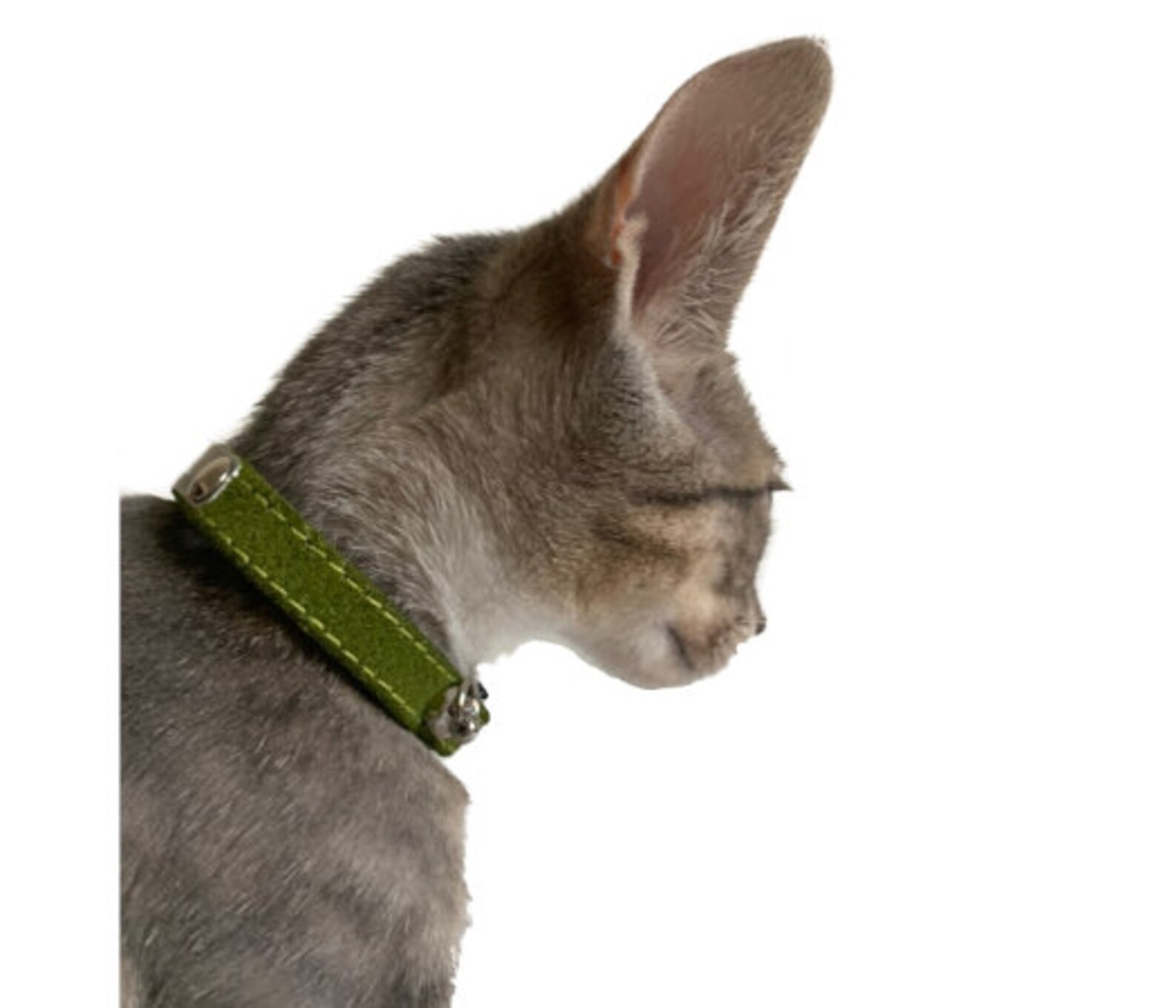 Personalized Suede Cute Cat Collar With Breakaway Buckle by Etsy