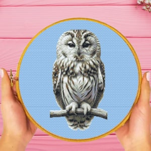 Owl Cross Stitch Pattern , instant download
