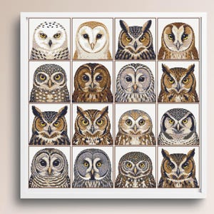 16 Owl Cross Stitch Pattern Bundle PDF, Modern Owl Sampler, Bird Embroidery, Instant Download