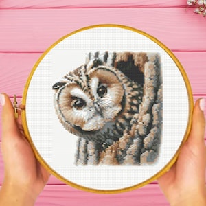 Owl Cross Stitch Pattern , instant download