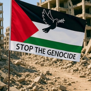 Palestinian Flag - 244 x 152cm - Flag With a Symbol of Peace and a Strong Message