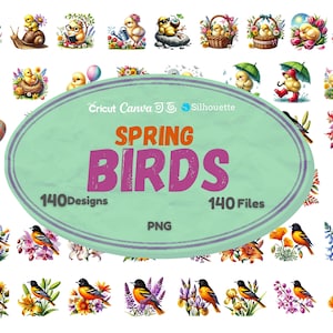 Pacchetto Clipart Uccelli Floreali, Fascino Primaverile, Grafica Uccelli in Fiore, Clipart Uccelli sui Rami, Download Digitale, Uso Commerciale