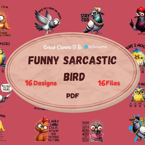 Paquete de imágenes prediseñadas de pájaros divertidos y locos / Ilustraciones de aves divertidas / PNG de pájaros divertidos / Descarga instantánea