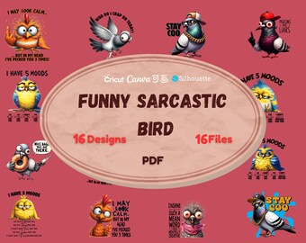 Paquete de imágenes prediseñadas de pájaros divertidos y locos / Ilustraciones de aves divertidas / PNG de pájaros divertidos / Descarga instantánea