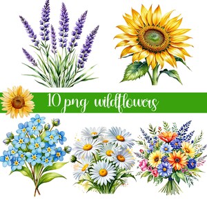 Watercolor wildlower, Watercolor Flower design, Flowers Digital Paper , Flower PNG, Watercolor Flower Clipart, Digital PNG