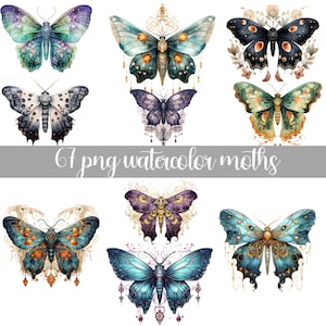 Watercolor Butterflies Clipart Bundle, Floral Butterflies Clipart, Colorful Butterflies Png, Cute Butterflies, Botanical Butterflies Png